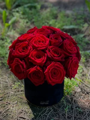 476296177_18486595993036858_4950551948584787839_n