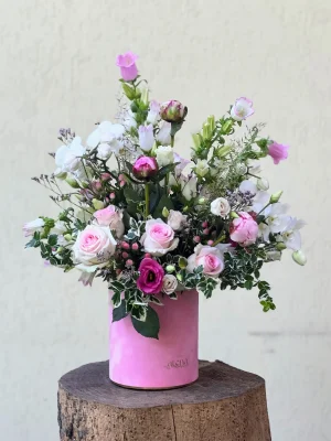 487435531_18497352418036858_1507190473991071094_n