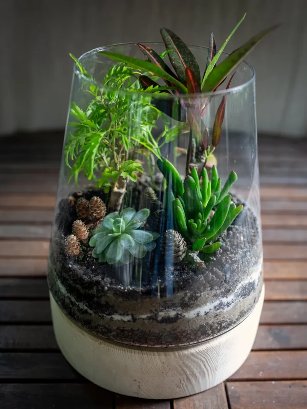 Kwiaciarnia_Atena_Lubon_las_w_sloiku_17