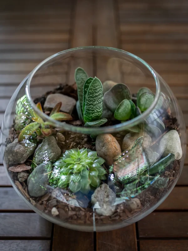 Kwiaciarnia_Atena_Lubon_las_w_sloiku_3