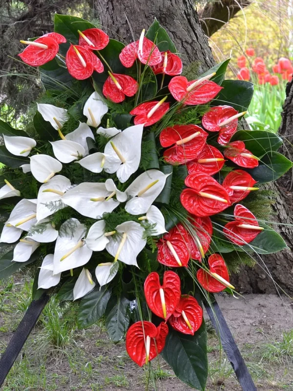 Kwiaciarnia_Atena_Lubon_wieniec_pogrzebowy_bialy_czerwony_3